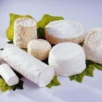 Goat Cheese