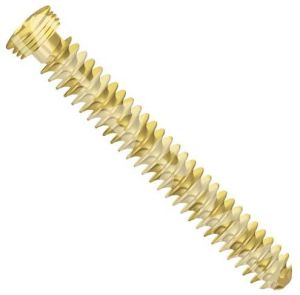 CANCELLOUS LOCKED SCREW