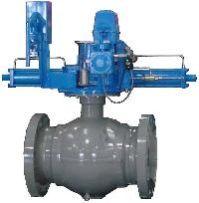 Valve Actuators