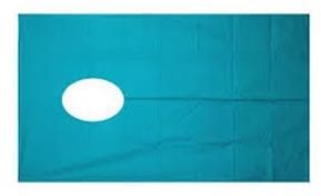 Disposable Gynae Sheet (P.P.)