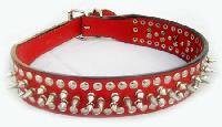 Dog Collars