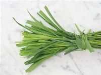 Lemon Grass