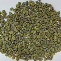 Robusta Aa Coffee Beans