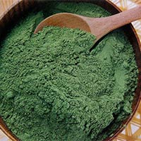 Dehydrated Spinach Powder