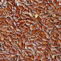 Flax Seed Sortex Clean