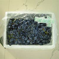 Indian Black Grapes