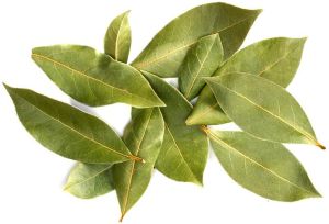 Dried Bay Leaves