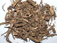 Coleus Dry Root