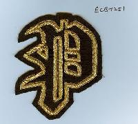 Embroidered Logo Badge (ECB-1251)