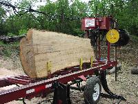 Sawmill