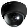 Dome Cameras