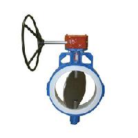 fep lined butterfly valves