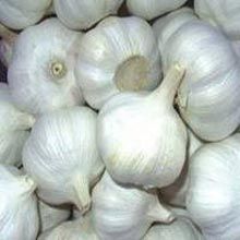 Whole Garlic