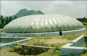 Biogas Balloons