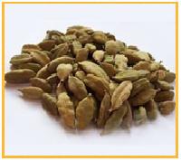 Cardamom