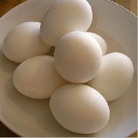 Poultry Eggs