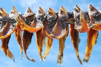 Dried Fish