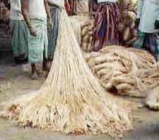 Jute Fiber