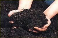 Bio Compost