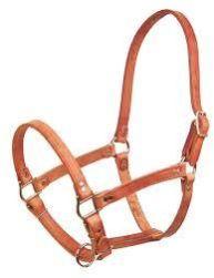 Horse Leather Halters