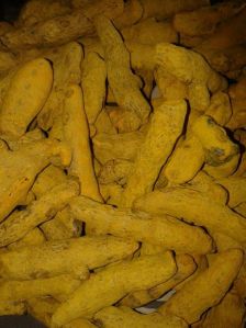 Turmeric Finger