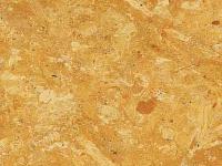 Flora Gold Sandstone