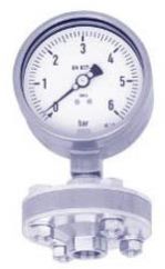 Threaded Process Pressure Gauges