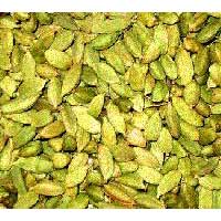 Cardamom