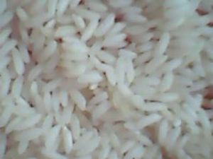 Sona Masuri Rice