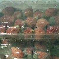 Strawberry Punnets