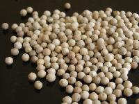 White Pepper Seeds