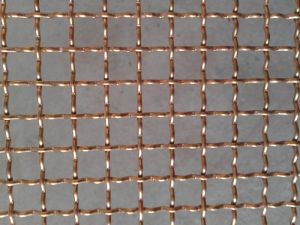 Phosphor Bronze Wire Mesh