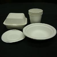 Disposable Crockery