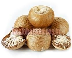 Areca Nuts