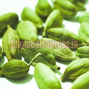 Green Cardamom