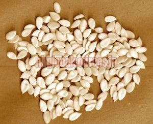 Muskmelon Seeds