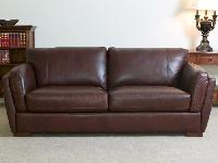 Leather Sofas