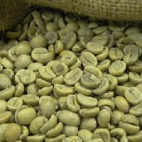 arabica green coffee
