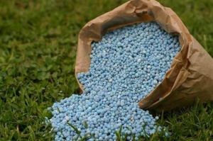 Bio Granular Fertilizer