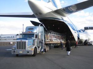 Air Freight Services