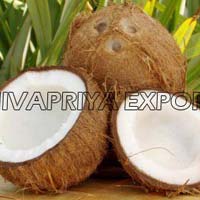 indian coconut