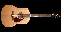 Acoustic Guitar