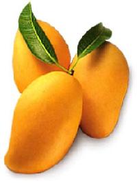 Fresh Mango