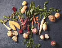 root vegetables