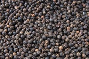 Black Pepper Seeds