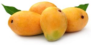 Fresh Mango