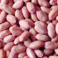 Groundnuts