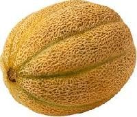 muskmelon