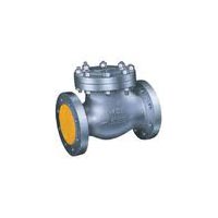 Pressure Seal Check Valve