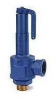 Spirax Safety Valve